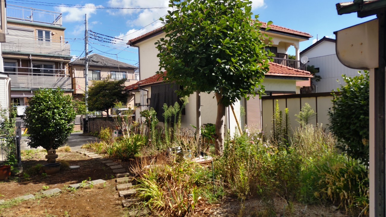 草刈り・剪定・抜根】セット割引でオトクにご提供 ｜ 【地元の造園屋】井越企画【埼玉草加】草刈り・剪定・伐採・抜根–庭と植木のトータルサービス